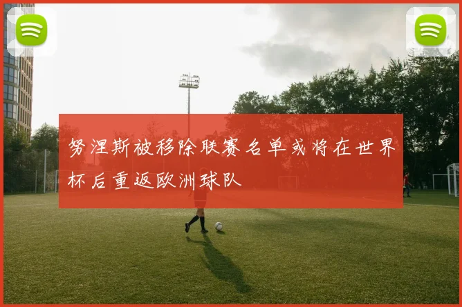 努涅斯被移除联赛名单或将在世界杯后重返欧洲球队