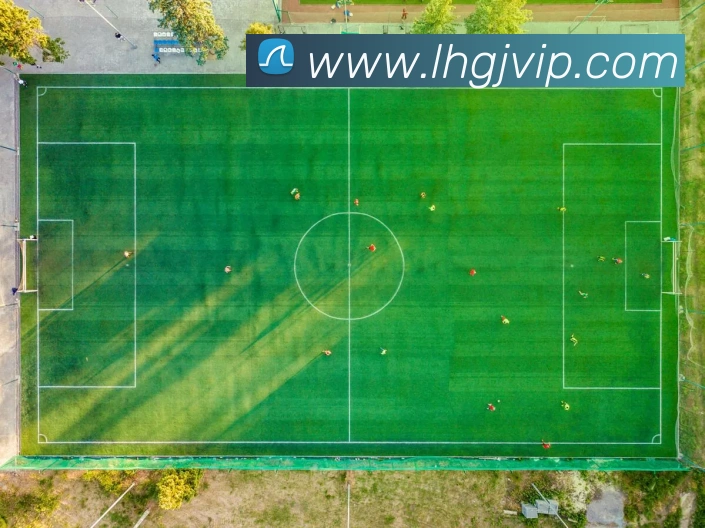 乐虎国际平台生态图